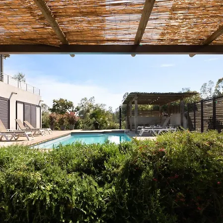 I Levri Πόρτο Βέκιο